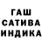 Конопля OG Kush Kachevnik SPB