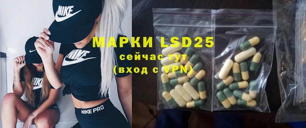 ешки Аркадак